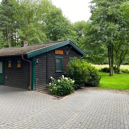 Schwedenhaus Dammer Berge Daire Damme